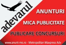 concursuri adevarul